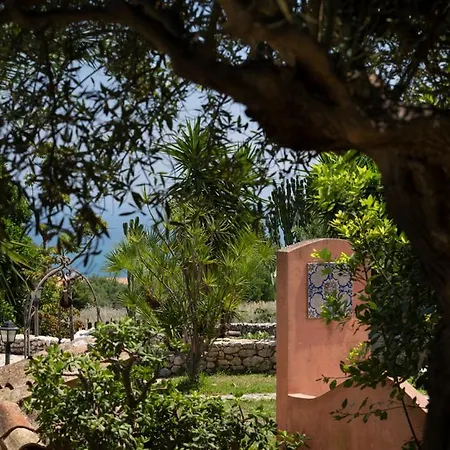 Audino Vila *